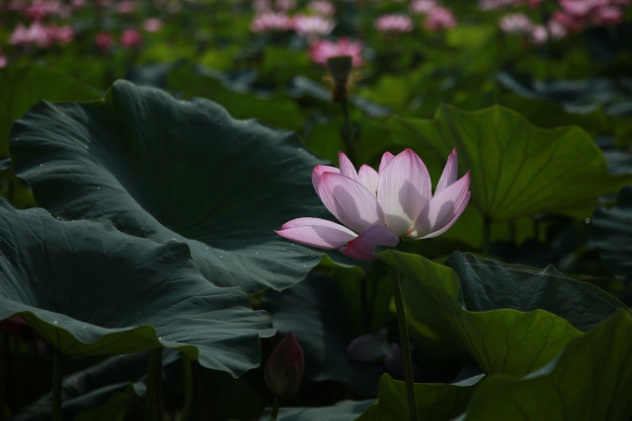 meditationen-heilpraktiker-gruemmer_0.jpg (632×421)